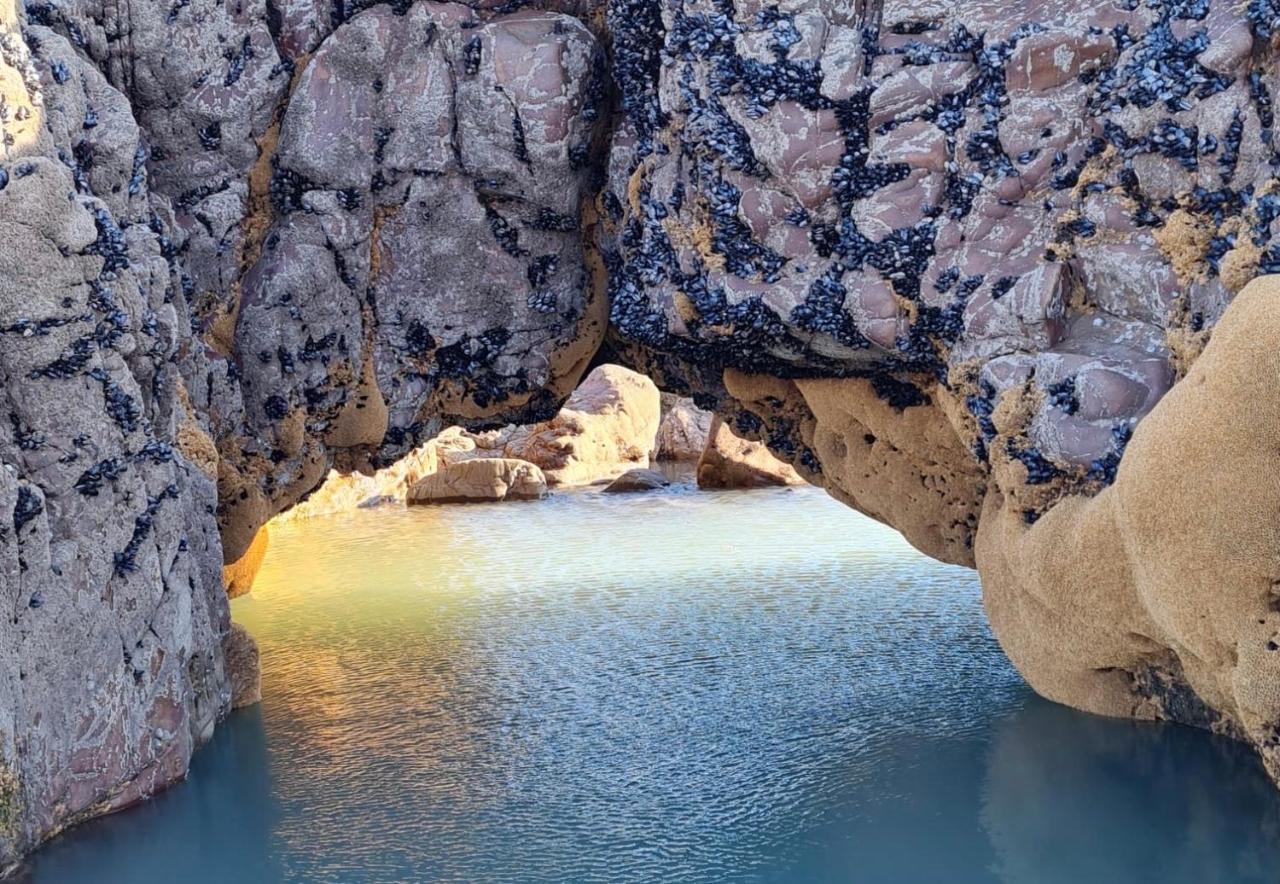 Rockpool - Bude Bagian luar foto